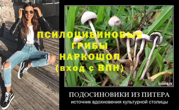 хмурый Гусев