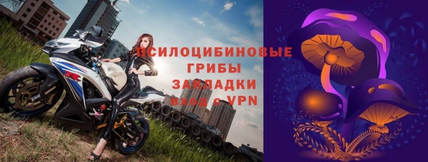 хмурый Гусев