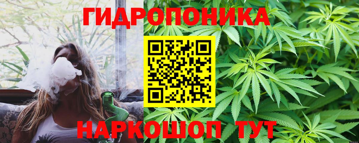 Конопля план  Каннабис сатива  Воткинск 